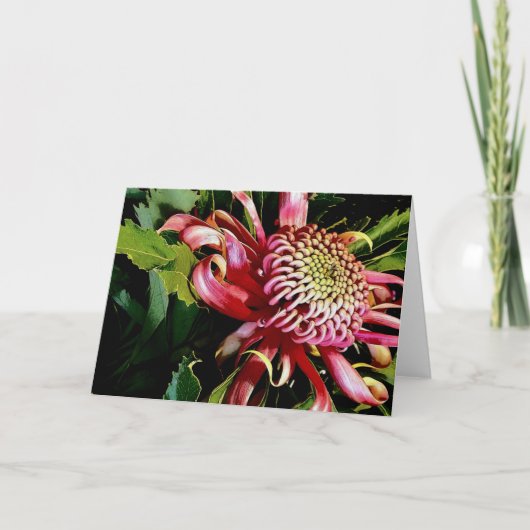 Cartes Pour Fêtes Annuelles waratah rouge (Devant)