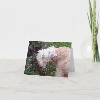 Cartes Pour Fêtes Annuelles Waverly