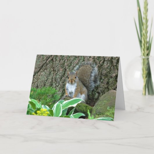 Cartes Pour Fêtes Annuelles Wee Princess (Devant)