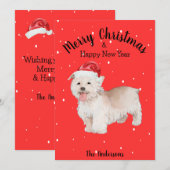 Cartes Pour Fêtes Annuelles West Highland Terrier Noël (Devant / Derrière)
