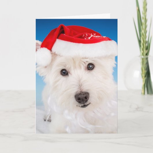 Cartes Pour Fêtes Annuelles Westie avec chapeau et barbe de Père Noël (Devant)