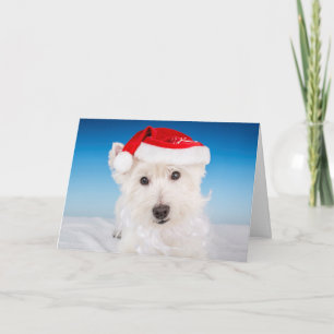 Cartes Pour Fêtes Annuelles Westie avec le chapeau et la barbe du Père Noël