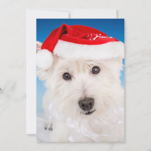Cartes Pour Fêtes Annuelles Westie avec Santa Hat et la barbe