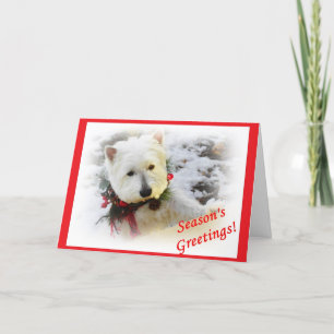 Cartes Pour Fêtes Annuelles Westie Christmas Card