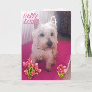 Cartes Pour Fêtes Annuelles Westie Joyeuses Pâques 3