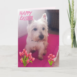 Cartes Pour Fêtes Annuelles Westie Joyeuses Pâques 3