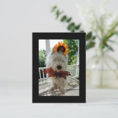 Cartes Pour Fêtes Annuelles Westie Thanksgiving Turkey Bowtie (Debout devant)