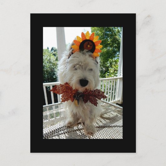 Cartes Pour Fêtes Annuelles Westie Thanksgiving Turkey Bowtie (Devant)