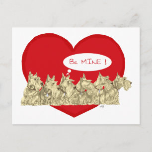 Cartes Pour Fêtes Annuelles Wheaten Scotties Valentine