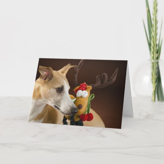 Cartes Pour Fêtes Annuelles Whippet à Noël (Devant)