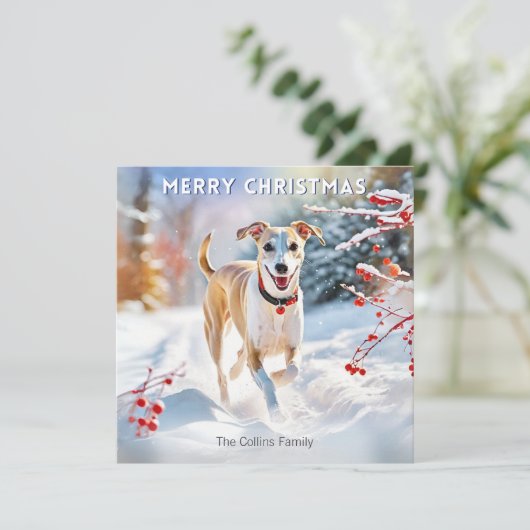 Cartes Pour Fêtes Annuelles Whippet Chien Marcher Dans Neige Hiver Joyeux Noël (Debout devant)