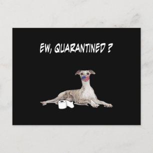 Cartes Pour Fêtes Annuelles Whippet Dog Ew Quarantiné Chien Portant Un Masque