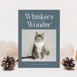 Cartes Pour Fêtes Annuelles Whiskers & Wonder Cat Photo Ardoise Noël