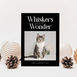Cartes Pour Fêtes Annuelles Whiskers & Wonder Cat Photo Noir Noël