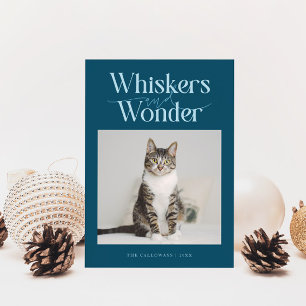 Cartes Pour Fêtes Annuelles Whiskers & Wonder Chat Photo Noël Turquoise
