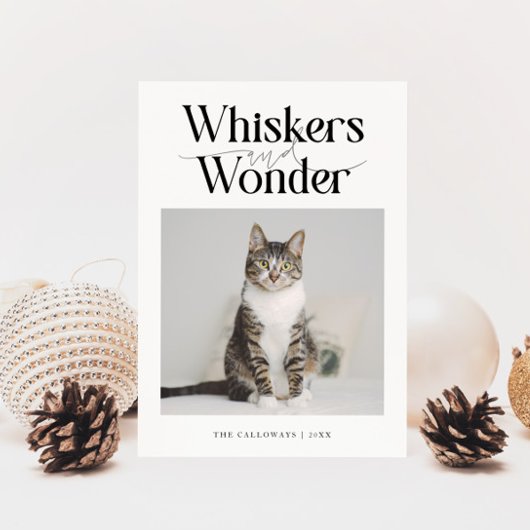 Cartes Pour Fêtes Annuelles Whiskers & Wonder Photo Chat Noël blanc