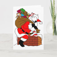 White bull terrier santa