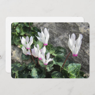 Cartes Pour Fêtes Annuelles Wild Flowers Flat Holiday Card