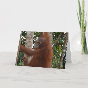 Cartes Pour Fêtes Annuelles Wild For You Valentine Mohawk Hairdo