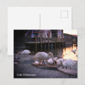 Cartes Pour Fêtes Annuelles Windermere, Lake District England (Devant / Derrière)