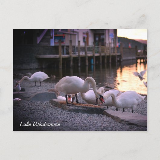 Cartes Pour Fêtes Annuelles Windermere, Lake District England (Devant)