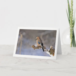 Cartes Pour Fêtes Annuelles Winter Bird Greeting Card
