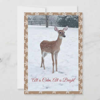 Cartes Pour Fêtes Annuelles Winter Wildlife Fawn Snow Scene