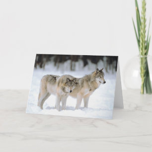 Cartes Pour Fêtes Annuelles Winter Wolves Snow Xmas Holiday Christmas Blank