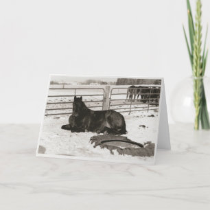 Cartes Pour Fêtes Annuelles Winter Wonder