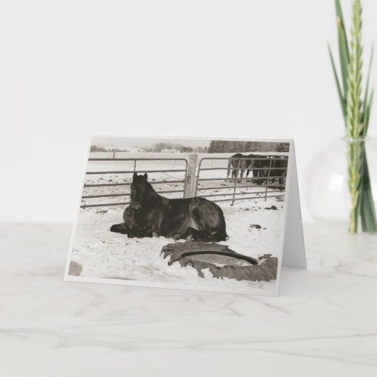 Cartes Pour Fêtes Annuelles Winter Wonder (Devant)