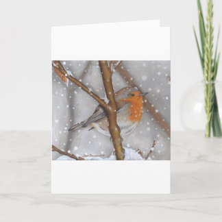 Cartes Pour Fêtes Annuelles Winter Wonder