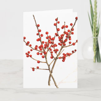 Cartes Pour Fêtes Annuelles Winterberry