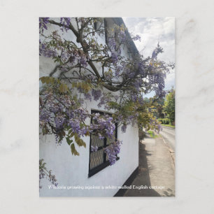 Cartes Pour Fêtes Annuelles Wisteria poussant contre une maison blanche