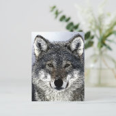 Cartes Pour Fêtes Annuelles Wolf Eyes (Debout devant)