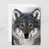 Cartes Pour Fêtes Annuelles Wolf Eyes (Devant / Derrière)