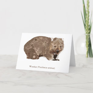 Cartes Pour Fêtes Annuelles Wombat (Vombatus ursinus)