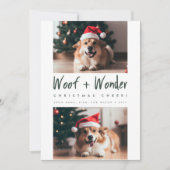 Cartes Pour Fêtes Annuelles Woof + Wonder Cheval Funny Pet Chien Photo Noël (Devant)