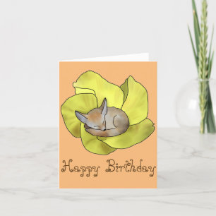 Cartes Pour Fêtes Annuelles Wüstenblumen