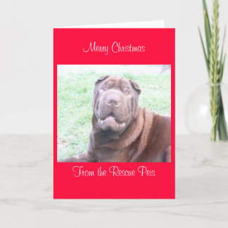 Cartes Pour Fêtes Annuelles xmas card_cr, Joyeux NoëlDe Wallace