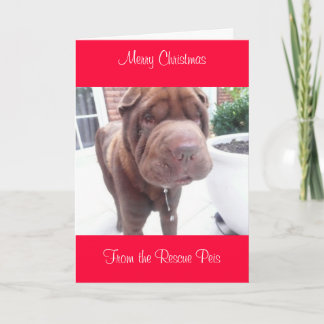 Cartes Pour Fêtes Annuelles xmas card_cr, Joyeux NoëlDe Wallace