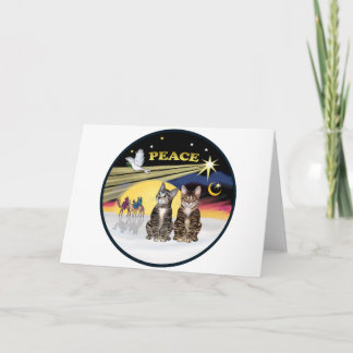 Cartes Pour Fêtes Annuelles Xmas Colombe - Deux Chats Tigrés
