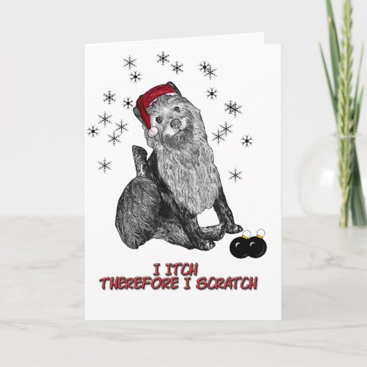 Cartes Pour Fêtes Annuelles Xmas_doG (Devant)