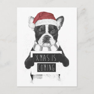 Cartes Pour Fêtes Annuelles Xmas is coming