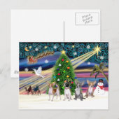 Cartes Pour Fêtes Annuelles Xmas Magic-Chihuahuas (quatre) (Devant / Derrière)