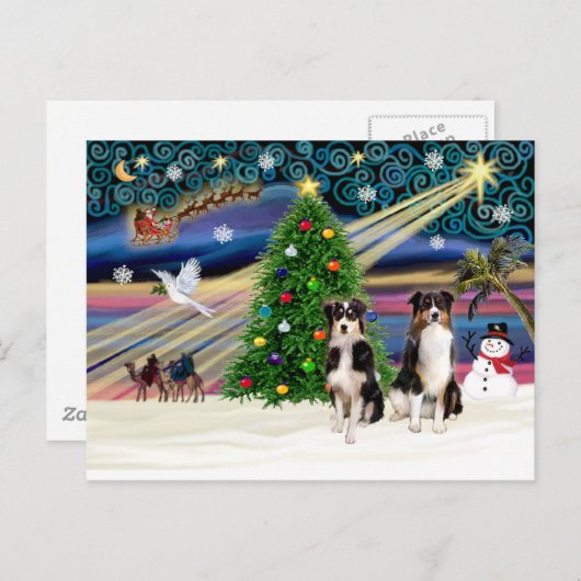 Cartes Pour Fêtes Annuelles Xmas Magic-Tri-Aussie ShepPAIR-6-7 (Devant / Derrière)