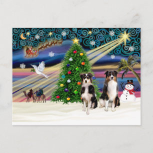 Cartes Pour Fêtes Annuelles Xmas Magic-Tri-Aussie ShepPAIR-6-7