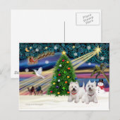 Cartes Pour Fêtes Annuelles XMAS MAGIC-WestiePAIR5et8 (Devant / Derrière)