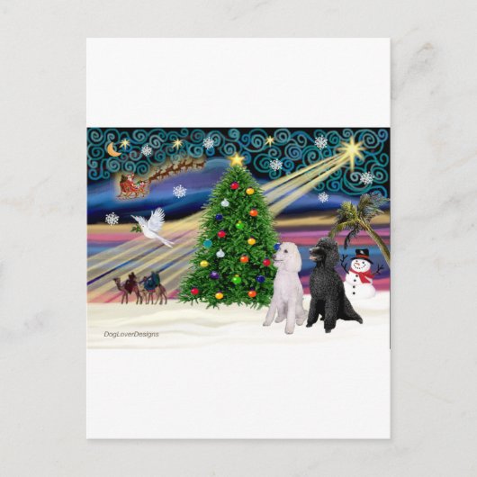 Cartes Pour Fêtes Annuelles XMAS POIDS MAGIQUES ST-Pair2 (Devant)