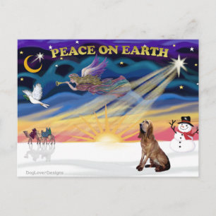 Cartes Pour Fêtes Annuelles XmasSunrise-BLoodhound