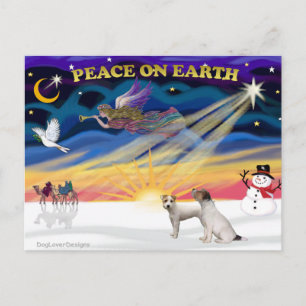 Cartes Pour Fêtes Annuelles XmasSunrise-Deux Jack Russell Terriers